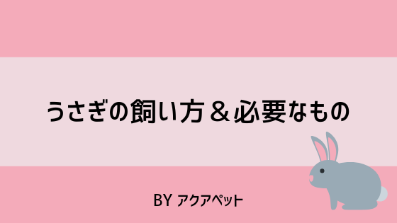 うさぎの飼い方 必要なもの9点 小動物も取り扱う熱帯魚ショップ アクアペット アクアペット 小倉 佐賀 長崎 大分