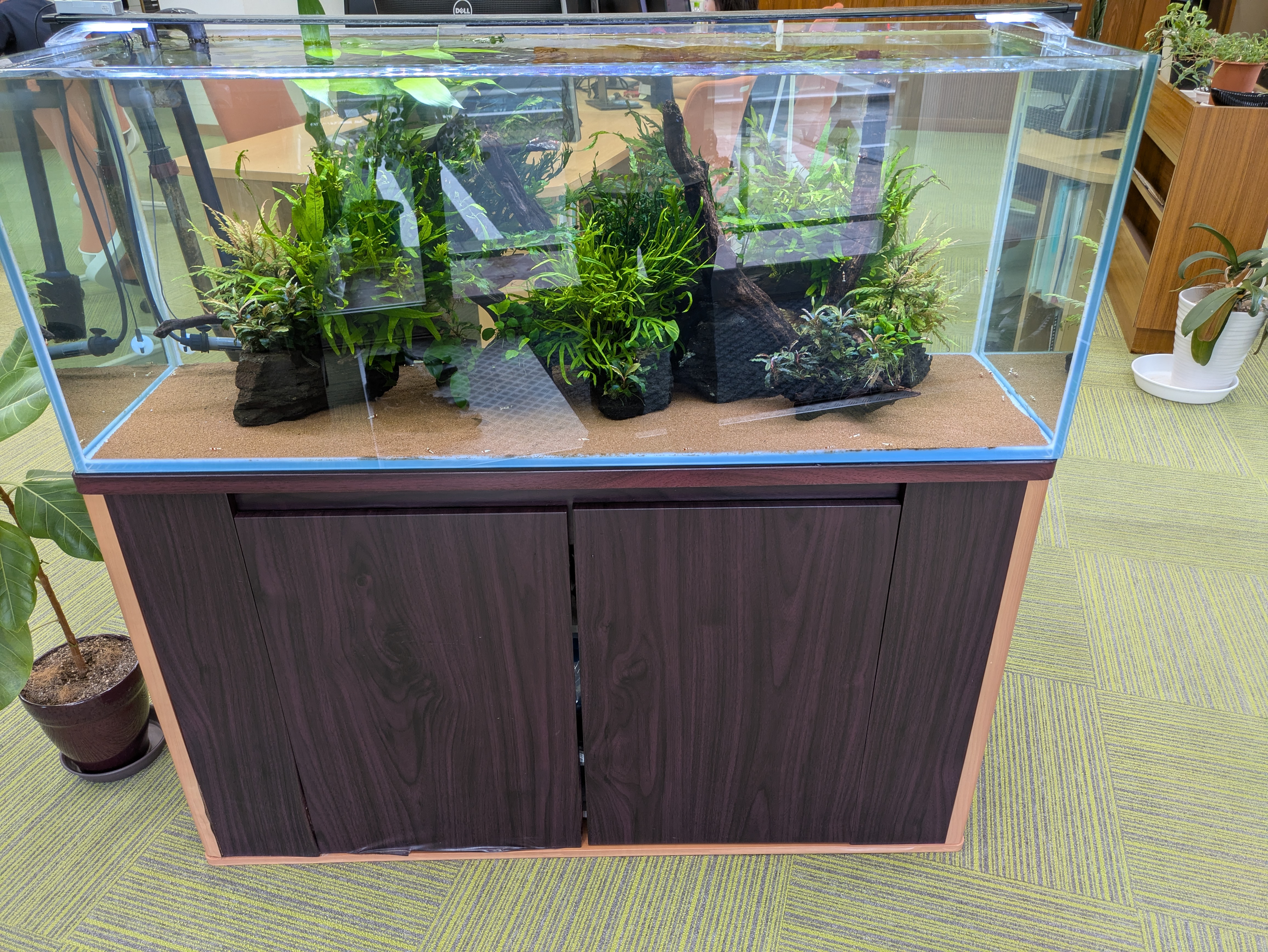 長崎水槽導入事例1