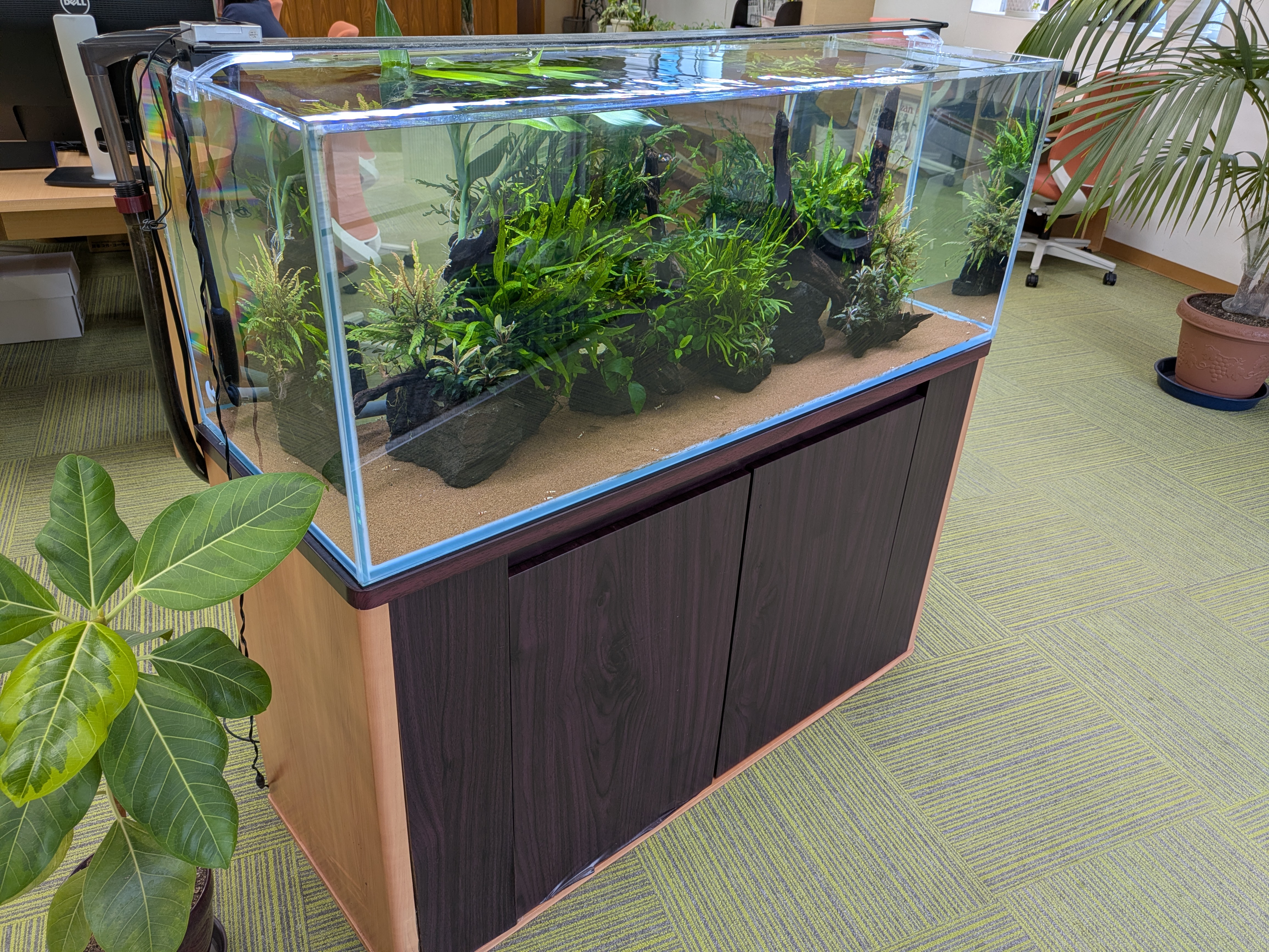 長崎水槽導入事例2