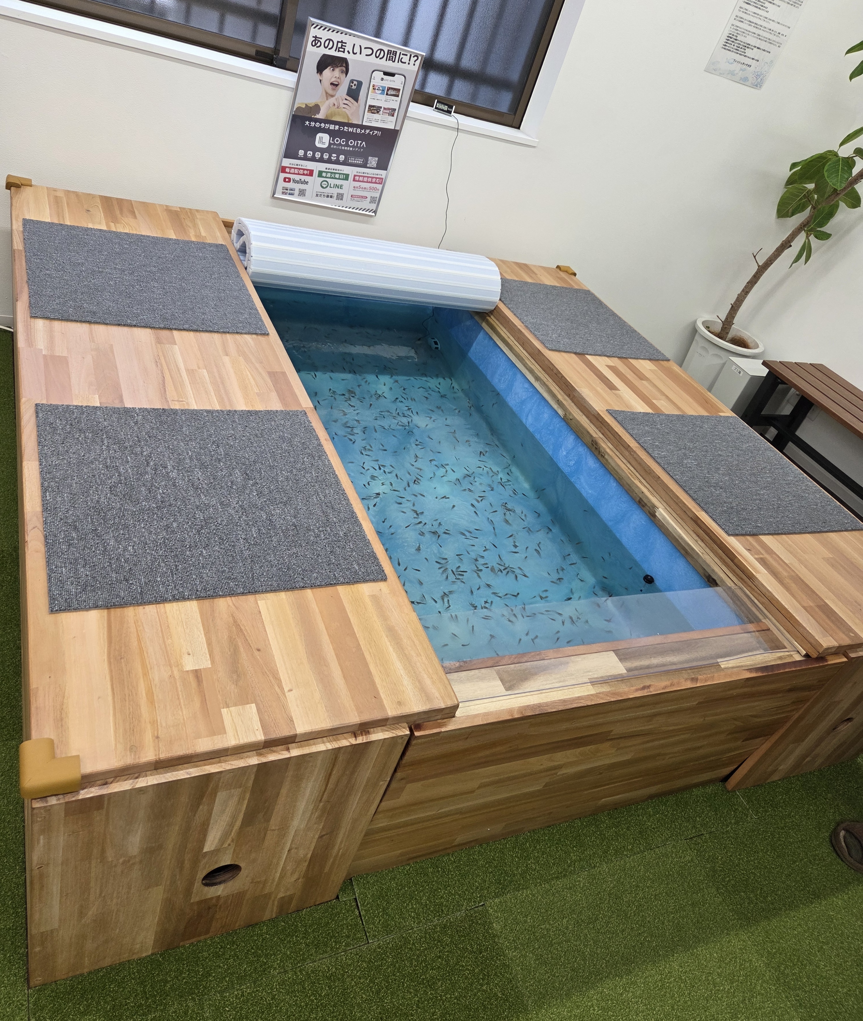 【大分市・フィッシュタッチ大分様】フィッシュセラピー専用水槽（1800×1800）設置事例